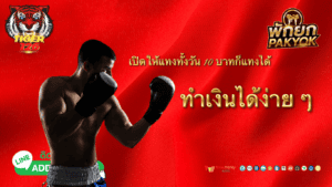 มวยตู้ออนไลน์ 32 slot pg content 152